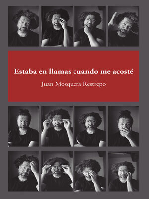cover image of Estaba en llamas cuando me acosté
